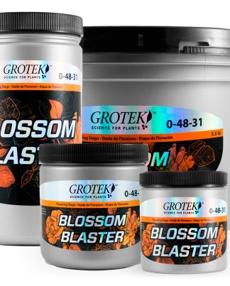 BLOSSOM BLASTER GROTEK 130GR