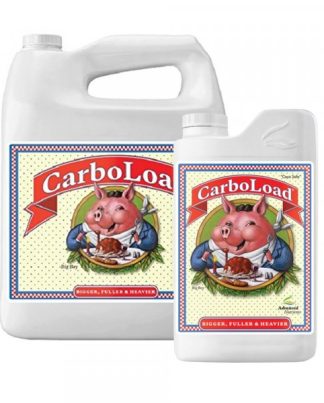CARBOLOAD ADVANCED N 1L