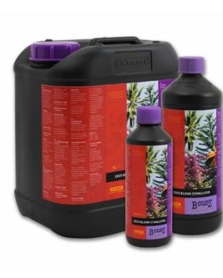 COCO BLOOM STIMULATOR ATAMI 1L