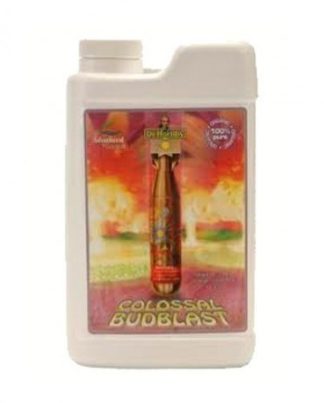 COLOSSAL BUDBLAST ADVANCED N 1L