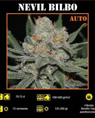NEVIL BILBO AUTO GENEHTIK 25 SEMILLAS
