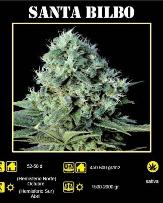 SANTA BILBO GENEHTIK 25 SEMILLAS