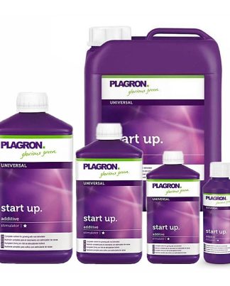 START UP PLAGRON 1L