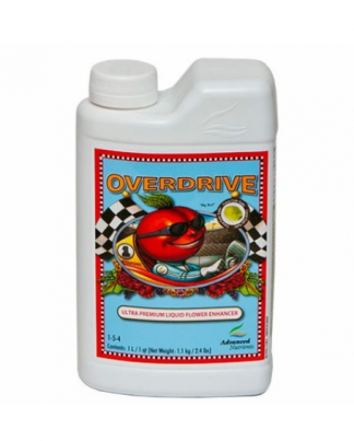 OVERDRIVE ADVANCED N 1L