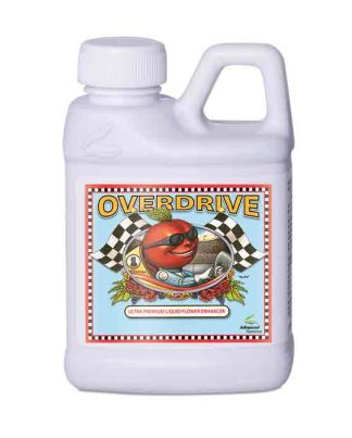 OVERDRIVE ADVANCED N 4L