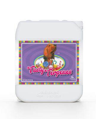 TASTY TERPERNES ADVANCED N 1L